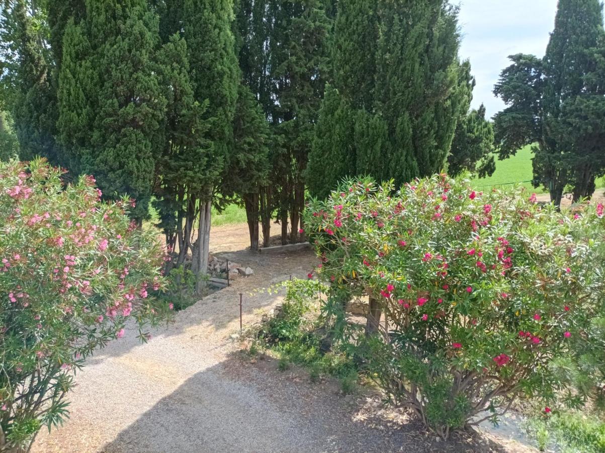 Villa Domaine Le Piboul à Fontcouverte  Extérieur photo